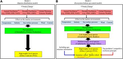 Effects of Climate Change in Marine Ecosystems Based on the Spatiotemporal Age Structure of Top Predators: A Case Study of Bigeye Tuna in the Pacific Ocean